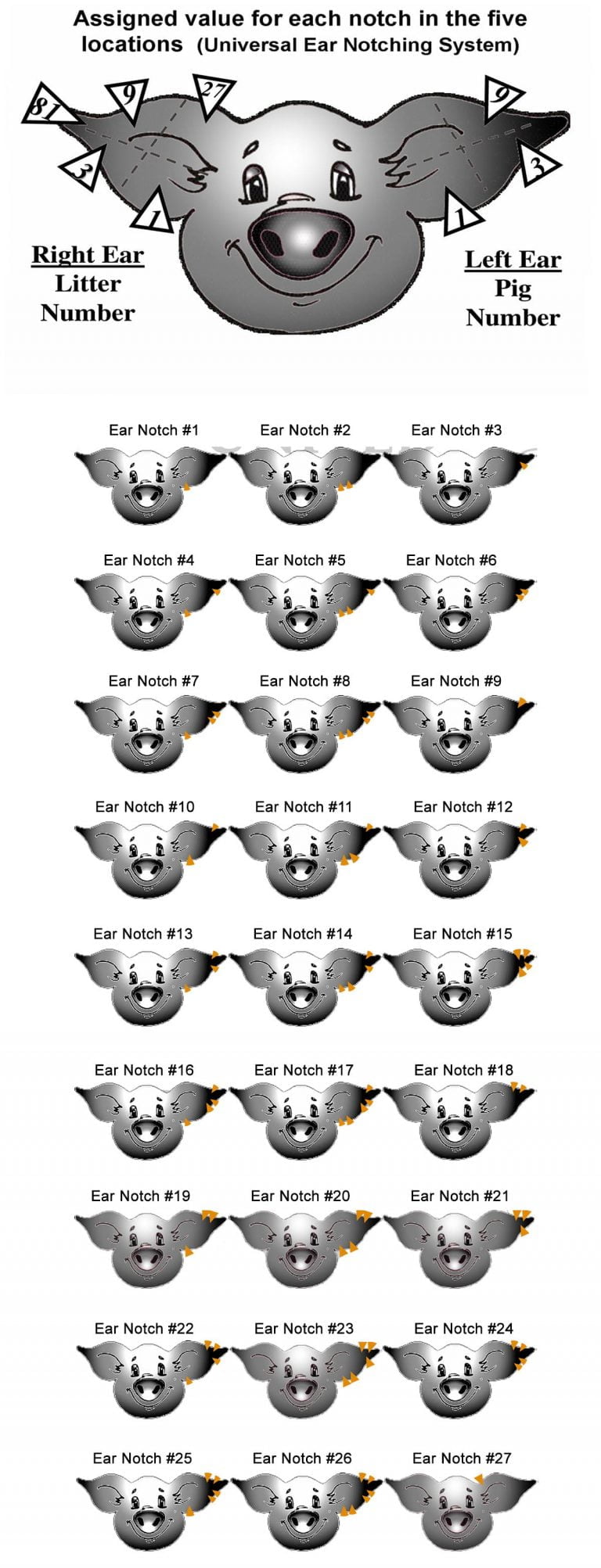 Ear Notch Chart